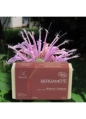 Bergamot